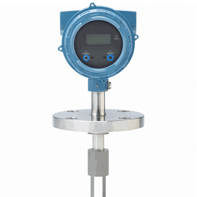 Emerson Fork Density Meter